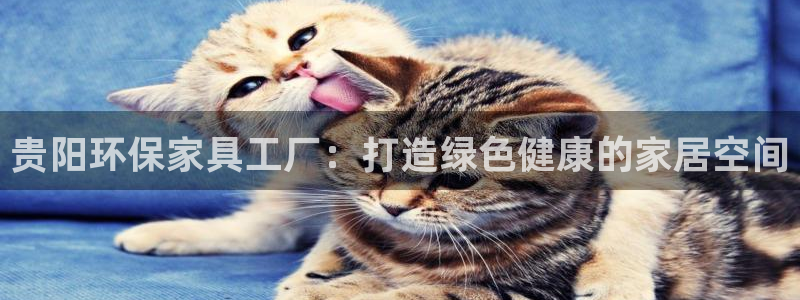 杏耀平台怎么样