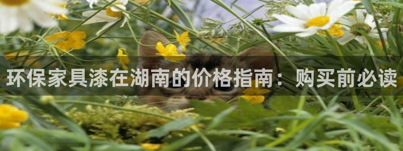 杏耀平台代理怎么赚钱快