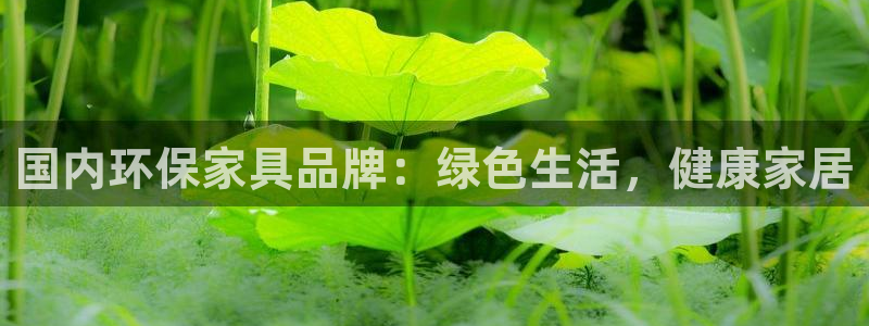 杏耀代理登录中心