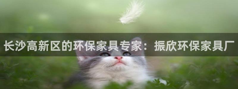 杏耀平台登录首页：长沙高新区的环保家具专家：振欣环保家具厂