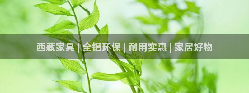 杏耀网页手机登录