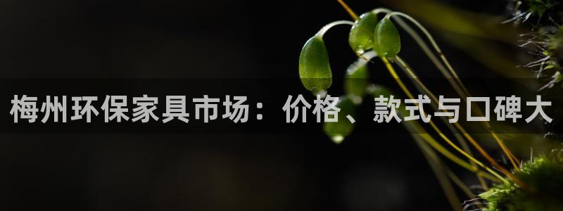 杏耀平台注册流程