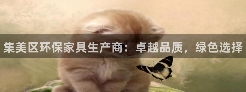 杏耀登陆线路：集美区环保家具生产商：卓越品质，绿色选择