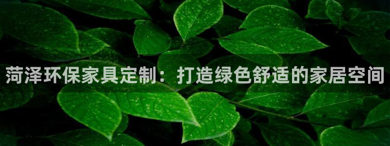 杏耀开户app下载：菏泽环保家具定制：打造绿色舒适的家居空间