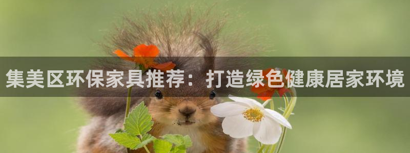 杏耀平台下载：集美区环保家具推荐：打造绿色健康居家环境