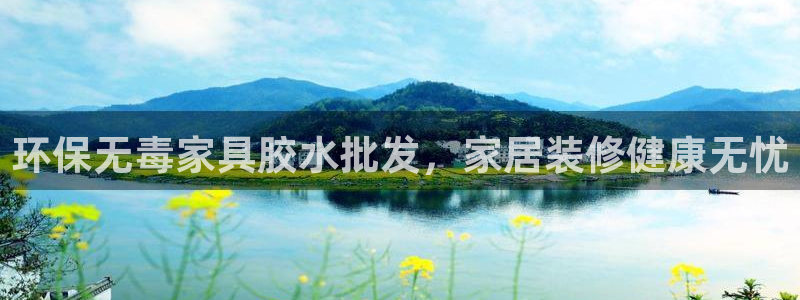 杏耀平台注册入口：环保无毒家具胶水批发，家居装修健康无忧