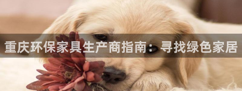 杏耀官网网站中心：重庆环保家具生产商指南：寻找绿色家居