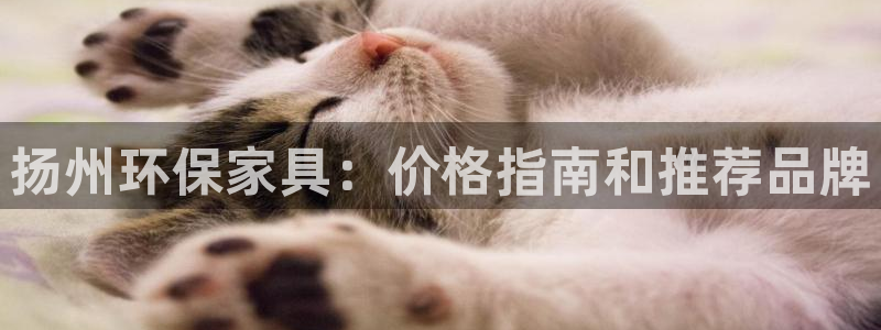 杏耀平台服务中心是干嘛的：扬州环保家具：价格指南和推荐品牌