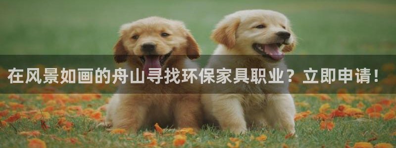 杏耀平台登录网址