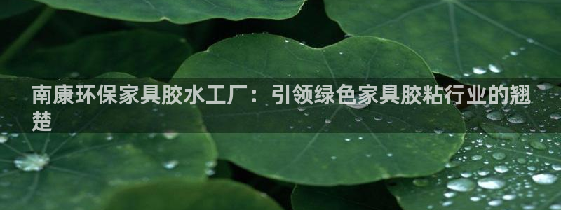 杏耀平台专用通道：南康环保家具胶水工厂：引领绿色家具胶粘行业