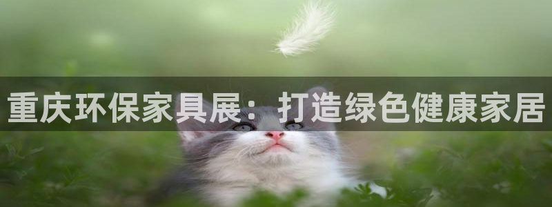 杏耀官网主管：重庆环保家具展：打造绿色健康家居
