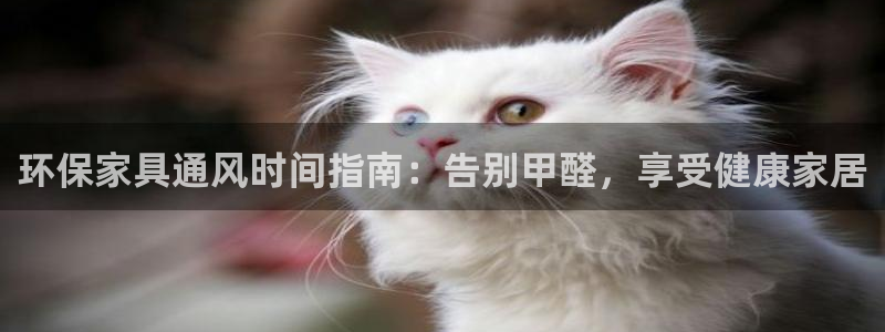 杏耀平台登陆测速