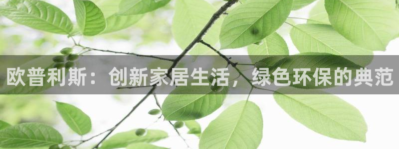 杏耀平台代理怎么赚钱快