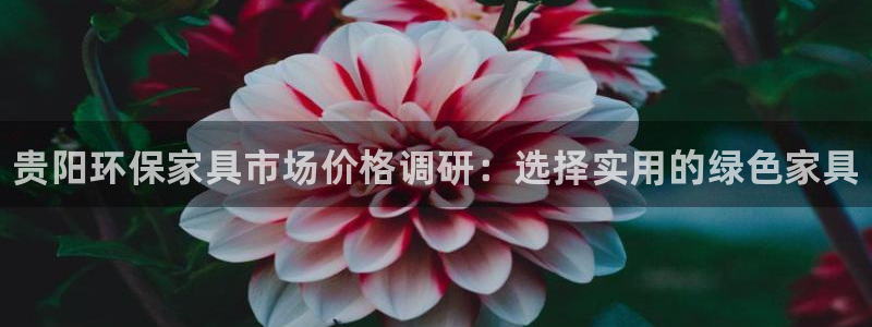 杏耀登陆电脑线路测速