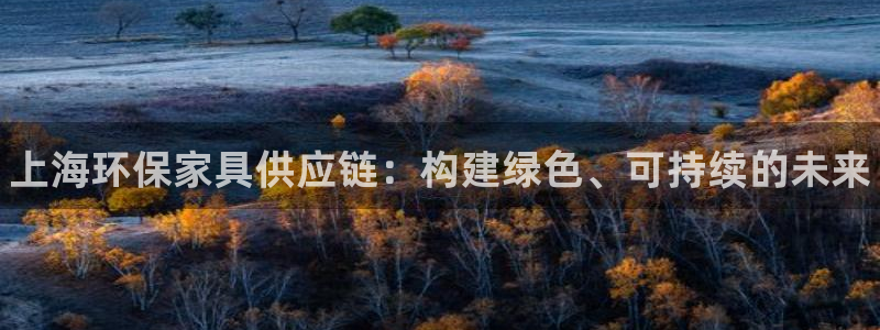 杏耀登陆：上海环保家具供应链：构建绿色、可持续的未来