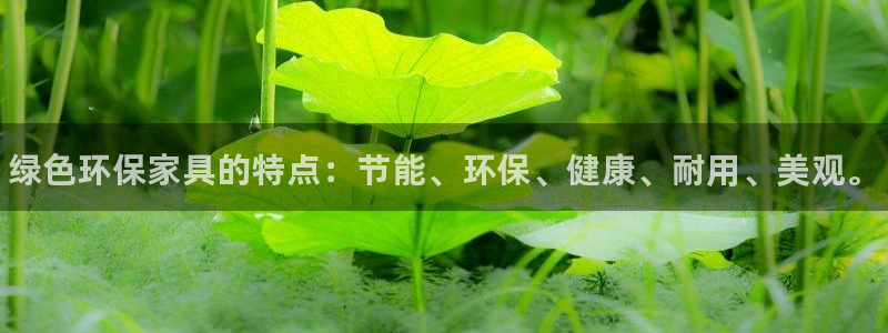 杏耀代理主管qq