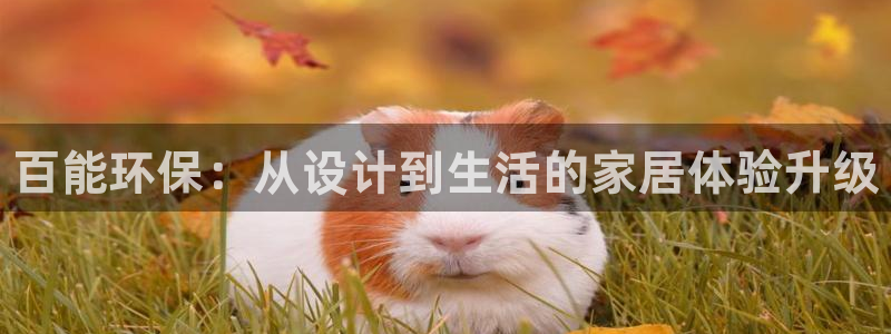 杏耀代理注册：百能环保：从设计到生活的家居体验升级