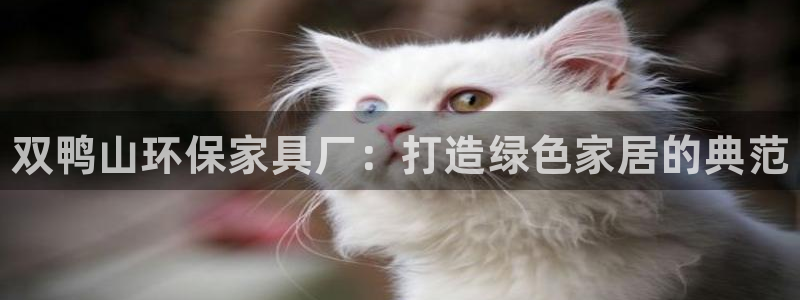 杏耀平台已注册入口：双鸭山环保家具厂：打造绿色家居的典范