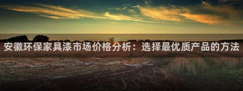 杏耀平台代理怎么赚钱的：安徽环保家具漆市场价格分析：选择最优